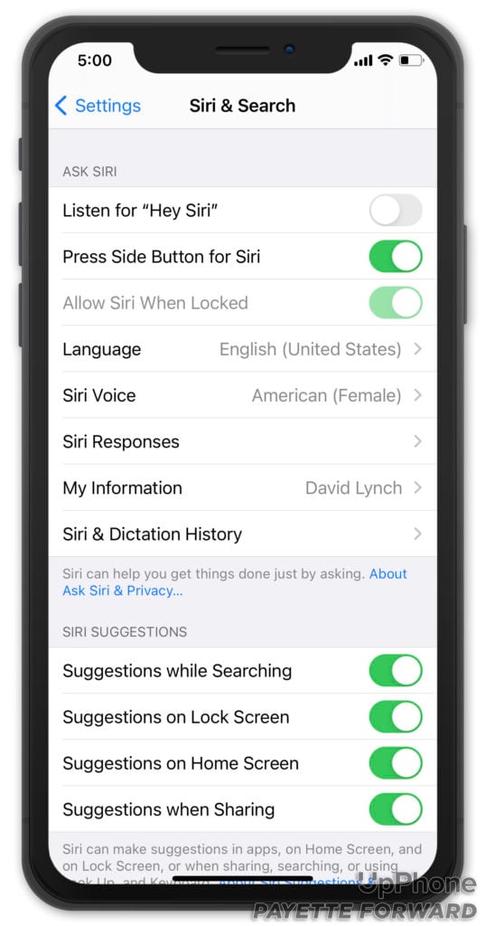 siri and search settings